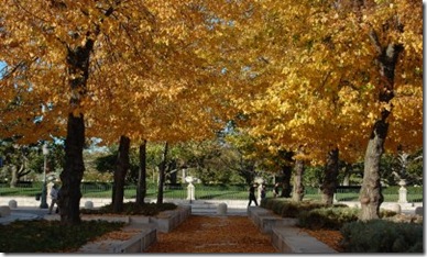 !cid_003d01cc79e6$8b8ffc50$7345F721@pc