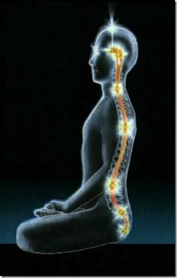 384194_4568333888406_822243579_n