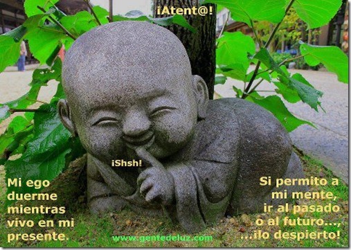 577037_358175160940926_24966514_n