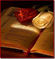 sant-jordi-rosa-i-llibre[1]