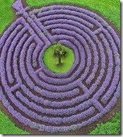 10247229_794069857277467_6651089152876187107_n