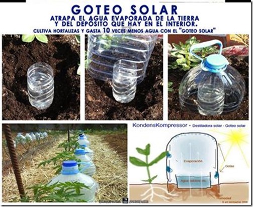 10170954_796115263746680_8432806327394028987_n