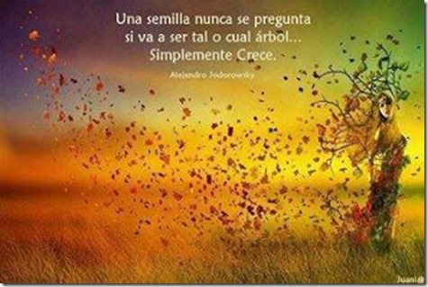 1378133_587835827919351_2107495852_n