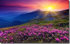 sun-shining-over-hills-1920x1200-wallpaper-amanecer-en-las-colinas-y-montac3b1as_thumb.jpg