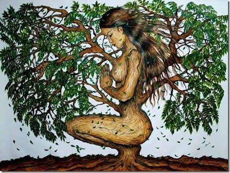 .facebook_1432328612727